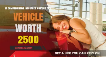 Vehicle Insurance: Is Comprehensive Coverage Necessary?