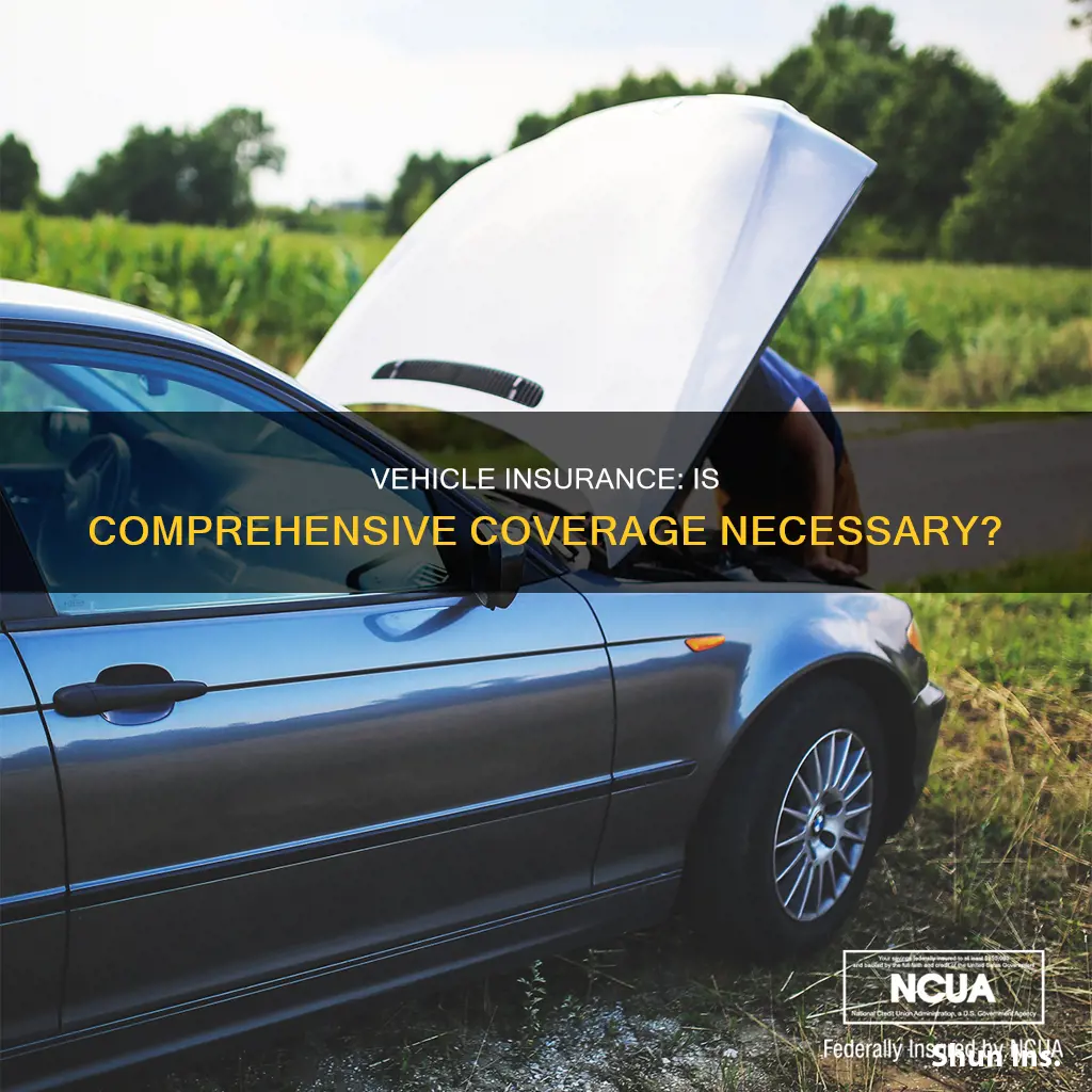 is comprihensive insurance worth it on a vehicle worth 2500