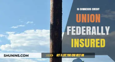 Connexus Credit Union: Federally Insured for Peace of Mind