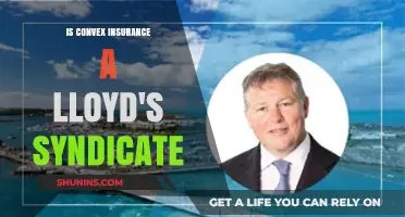 Is Convex Insurance a Lloyd's Syndicate? Exploring the Connection