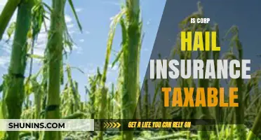 Is Corp Hail Insurance Taxable? Understanding Tax Implications for Businesses