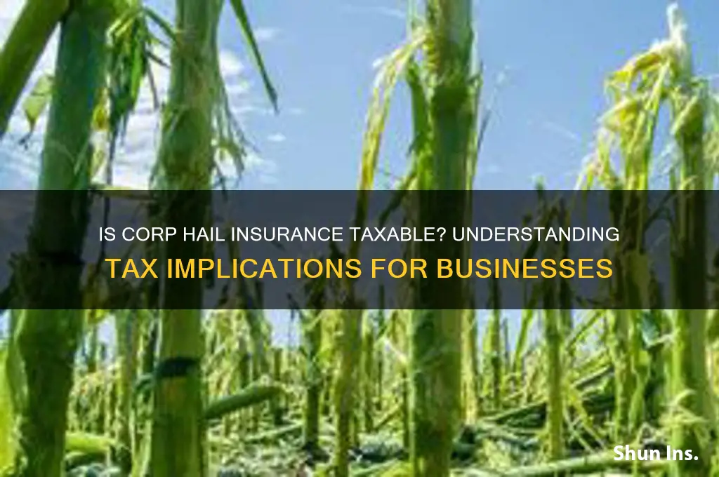 is corp hail insurance taxable