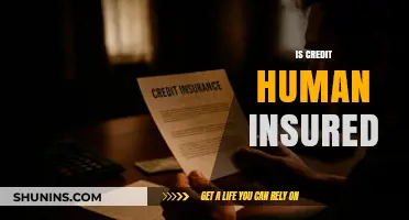 Is Credit Human Insured? Exploring Financial Security and Protection
