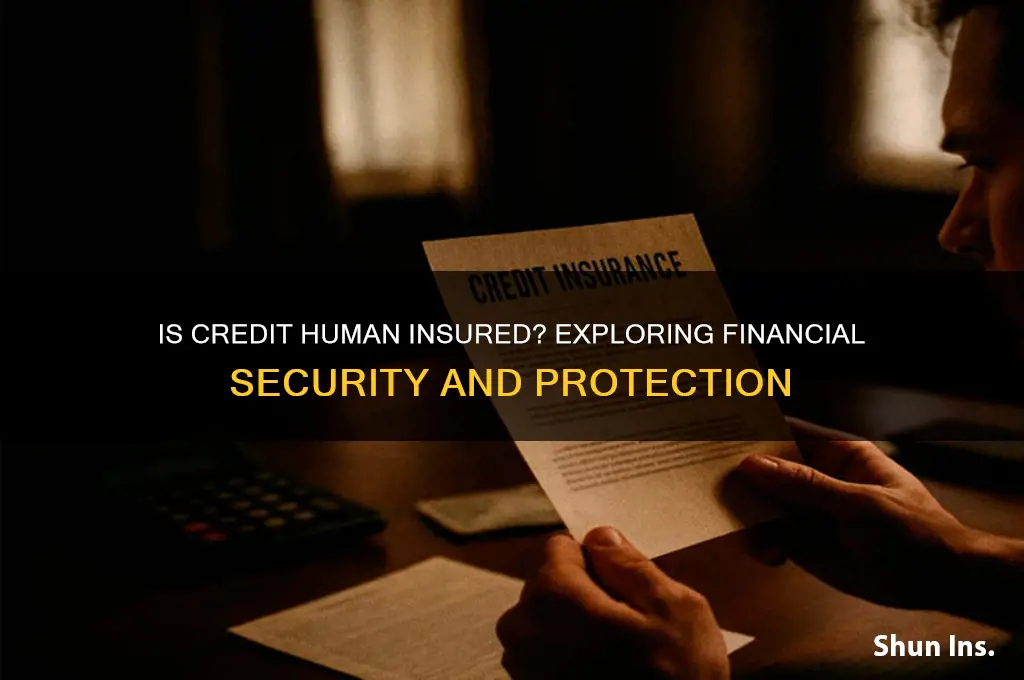 is credit human insured