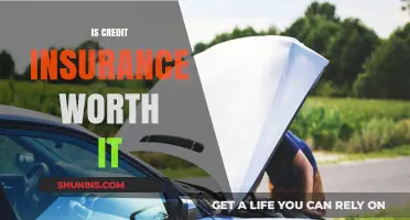 Credit Insurance: Worth the Cost?