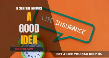 Credit Life Insurance: Worth the Cost?