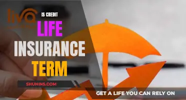 Credit Life Insurance: Understanding the Term and Its Benefits