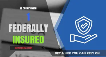 Credit Union Deposits: Are They Safe?