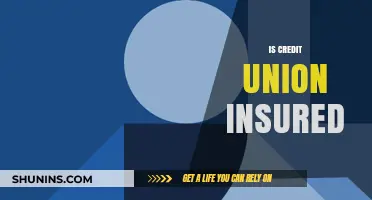 Are Credit Unions Insured? Understanding Your Deposit Protection