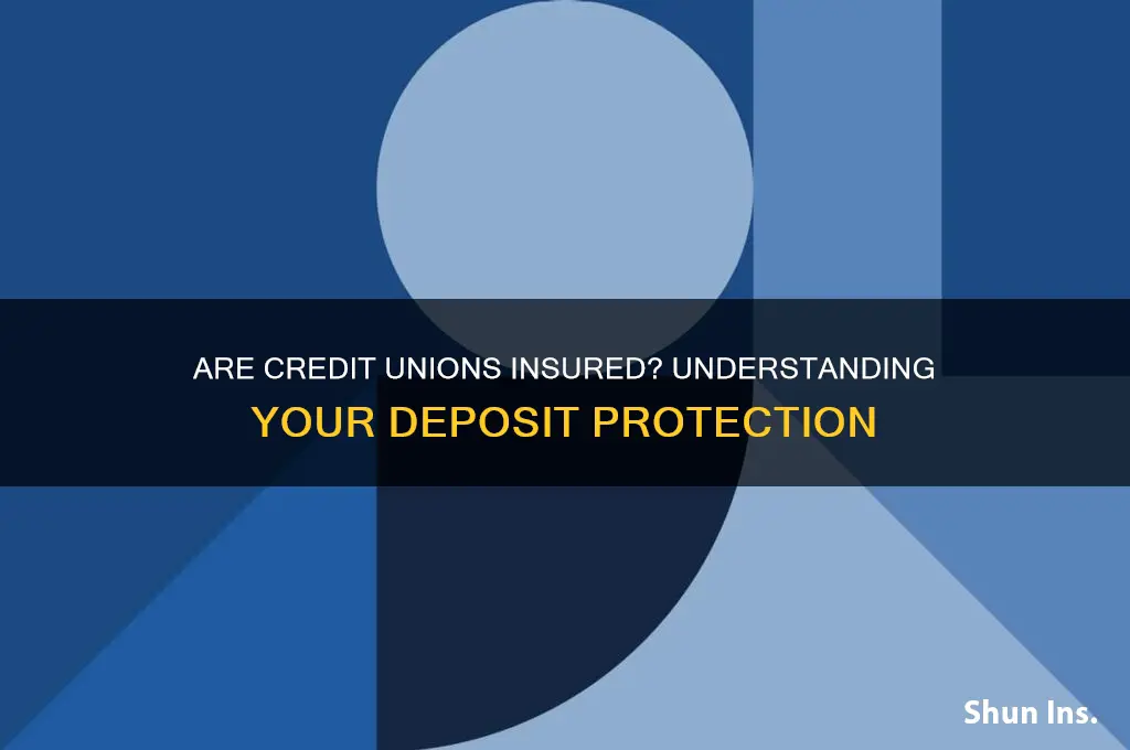 is credit union insured