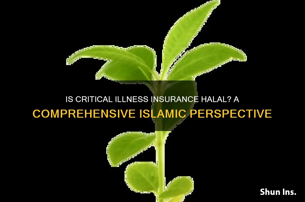 is critical illness insurance halal