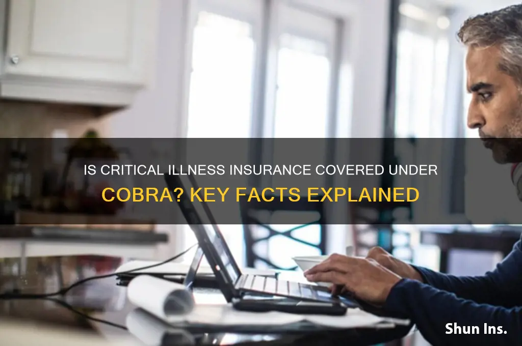 is critical illness insurance subject to cobra