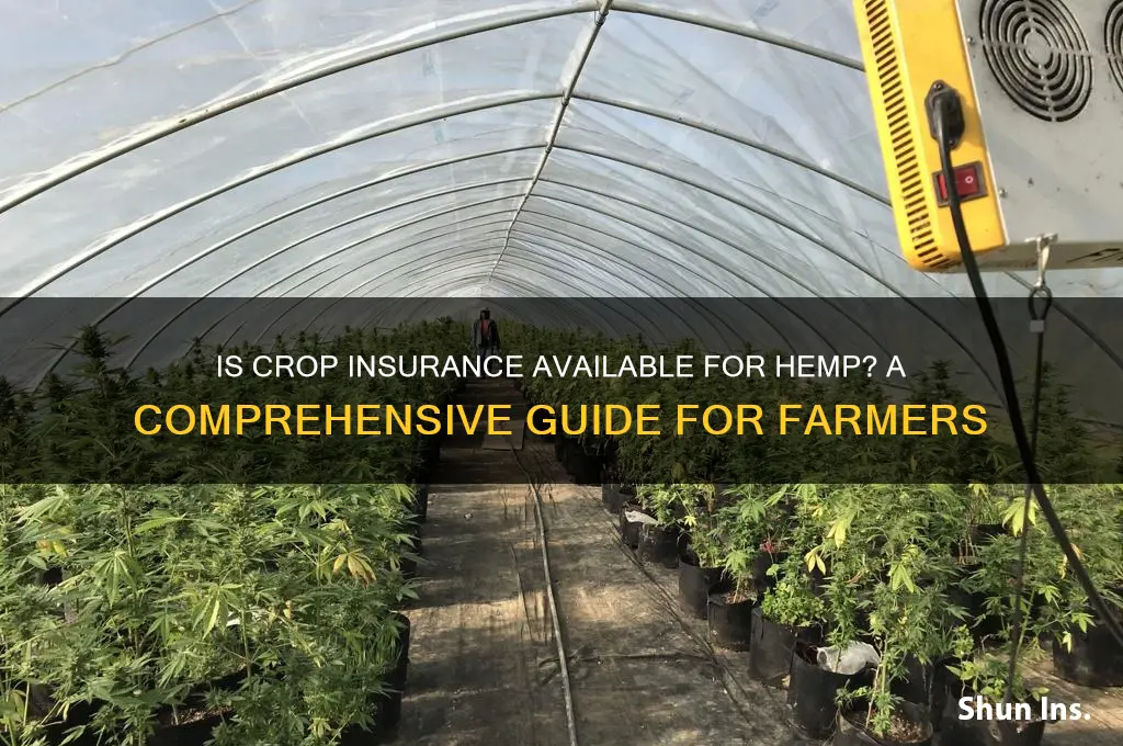 is crop insurance available for hemp