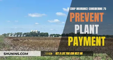 Plant Payment Insurance: Crop Claims