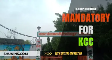 Is Crop Insurance Mandatory for KCC? Understanding the Requirements