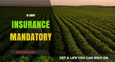 Is Crop Insurance Mandatory? Understanding Farmer Requirements and Benefits