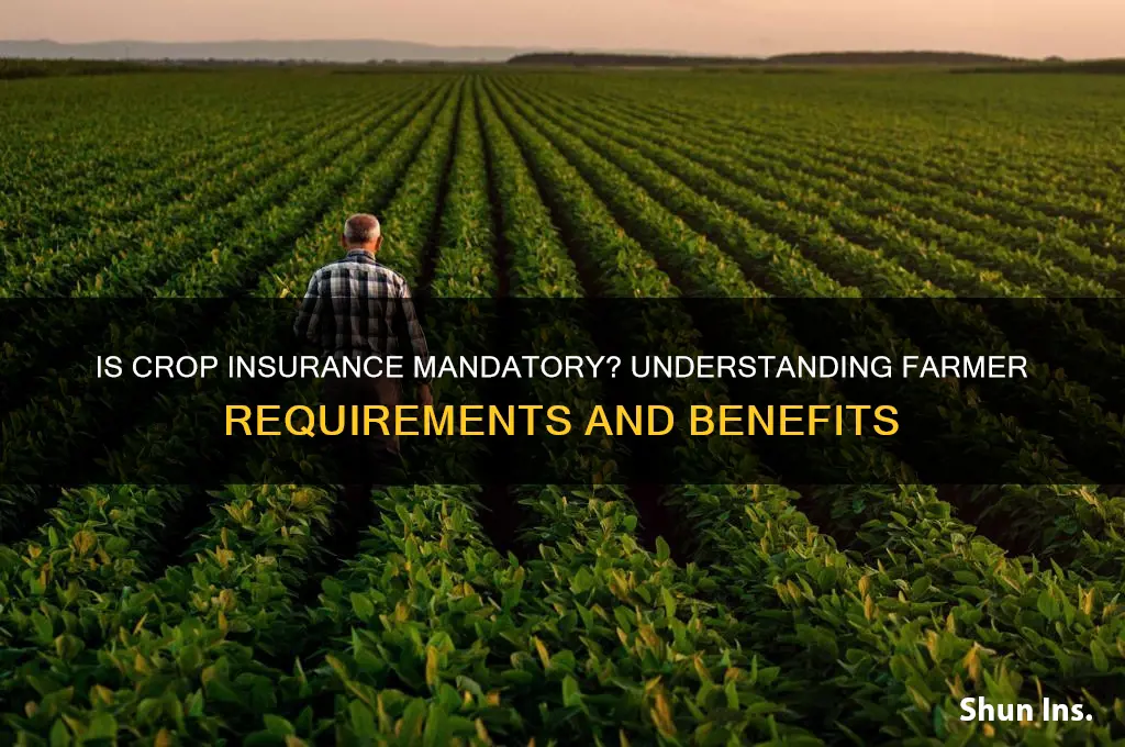 is crop insurance mandatory