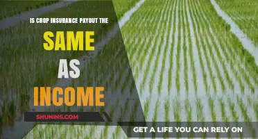 Crop Insurance Payout vs. Income: Understanding the Key Differences
