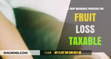 Are Fruit Loss Crop Insurance Proceeds Taxable? Key Insights