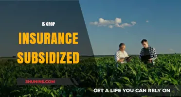 Is Crop Insurance Subsidized? Understanding Farmer Support and Costs