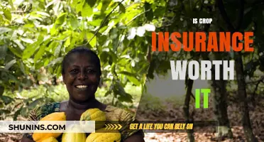 Crop Insurance: Worth the Cost?