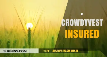 Is Crowdyvest Insured? Understanding Its Safety and Investor Protection