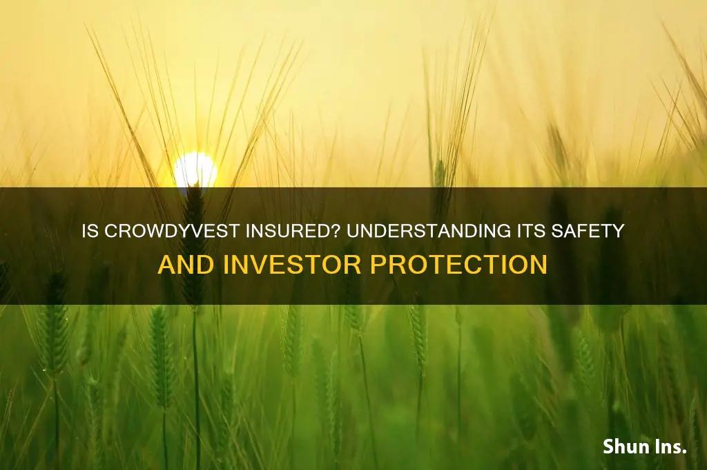 is crowdyvest insured