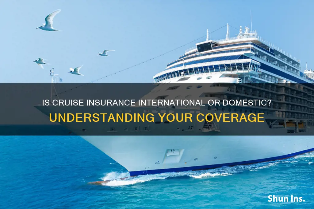 is cruise insurance international or domestic