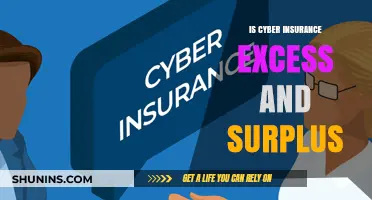 Understanding Cyber Insurance: Excess and Surplus Coverage Explained