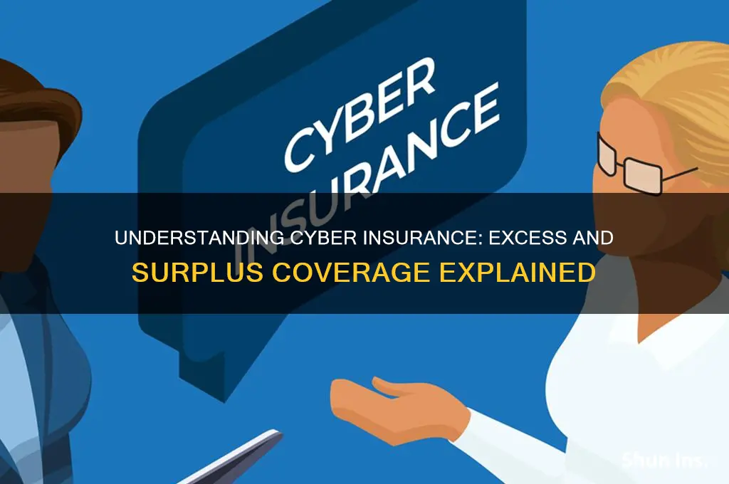 is cyber insurance excess and surplus