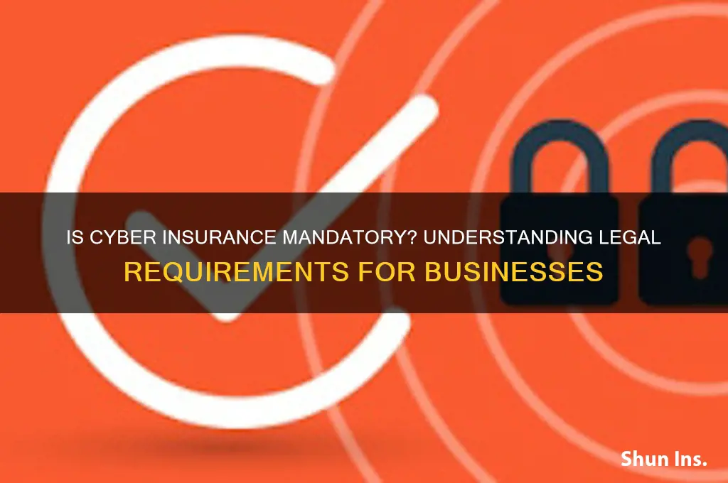 is cyber insurance mandatory