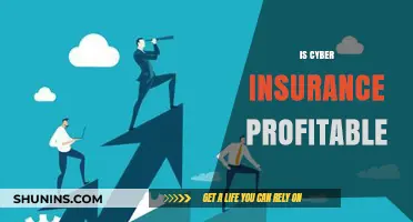 Is Cyber Insurance Profitable? Exploring Risks, Rewards, and ROI