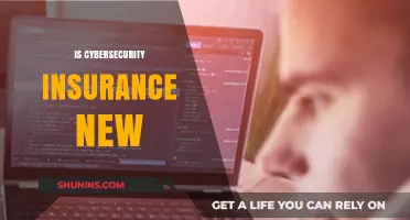 Is Cybersecurity Insurance a New Trend or Established Practice?
