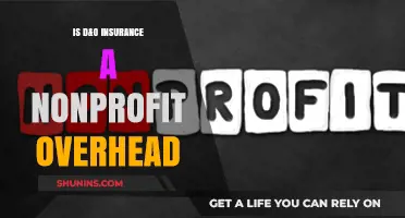 Is D&O Insurance a Nonprofit Overhead? Understanding the Costs