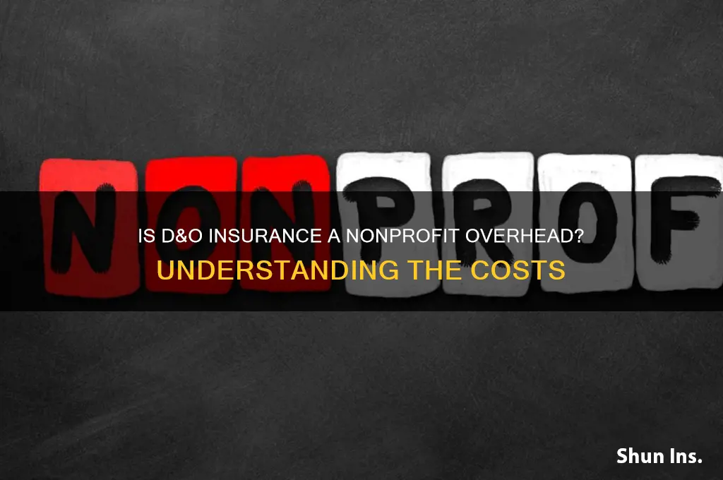 is d&o insurance a nonprofit overhead