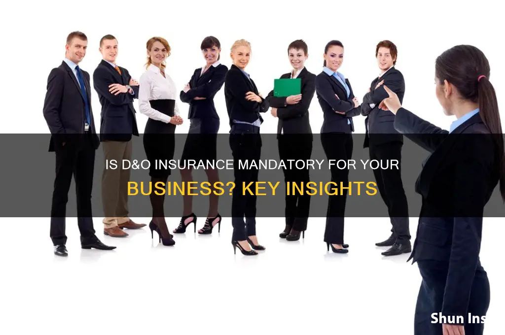 is d&o insurance compulsory