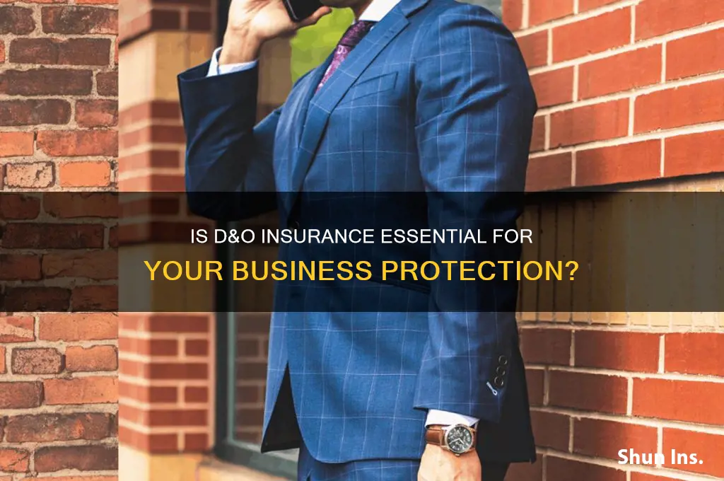 is d&o insurance necessary