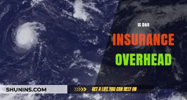 Is D&O Insurance Considered Overhead? Understanding Costs and Benefits