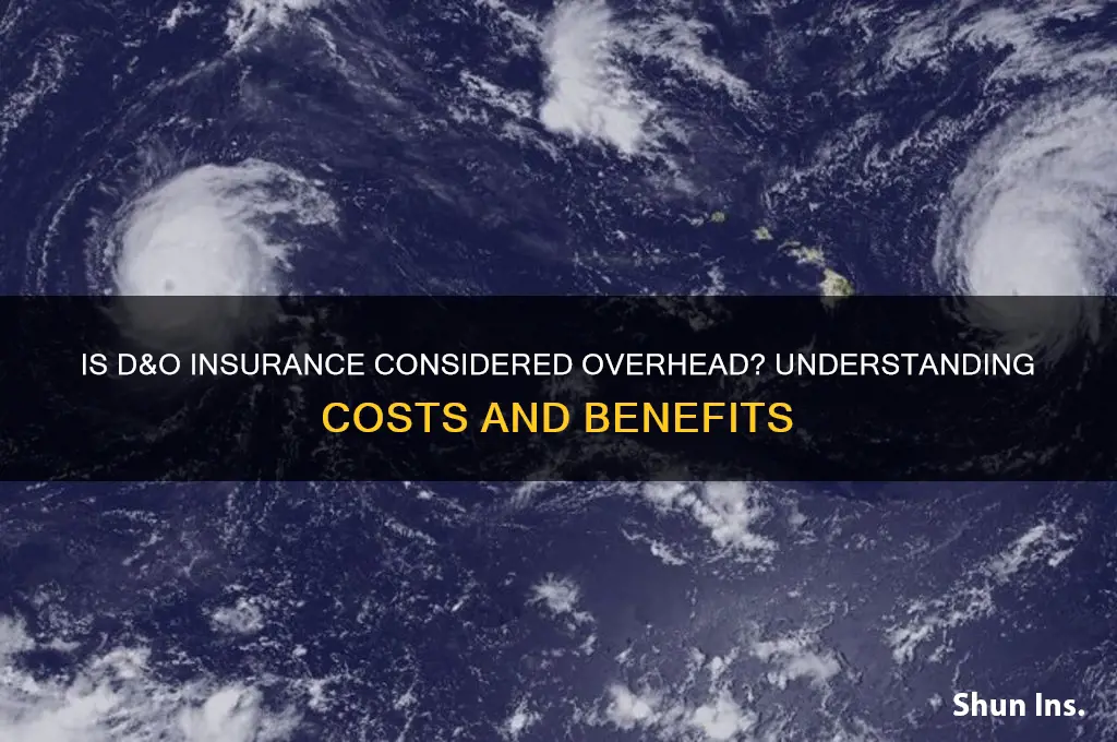 is d&o insurance overhead