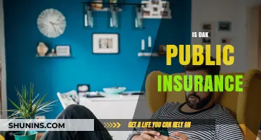 Understanding Dak Public Insurance: Coverage, Benefits, and Eligibility Explained