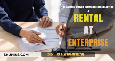 Is Damage Waiver Insurance Essential for Your Enterprise Rental?