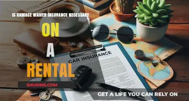 Is Damage Waiver Insurance a Must for Your Rental Car?