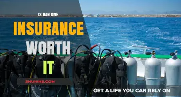 Dive Deep: Is DAN Insurance Worth the Cost?