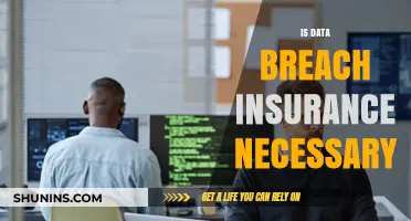 Is Data Breach Insurance a Must-Have for Your Business?