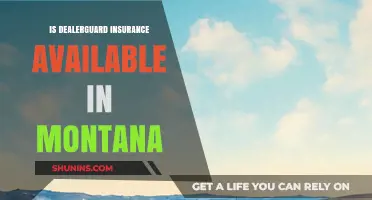 Is Dealerguard Insurance Available in Montana? Find Out Here