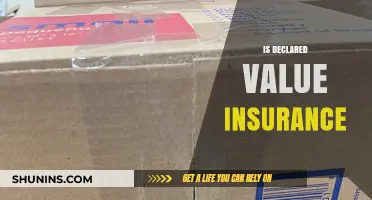 Understanding Declared Value Insurance: Benefits, Costs, and Coverage Explained