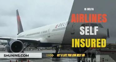 Is Delta Airlines Self-Insured? Uncovering the Carrier's Risk Management Strategy