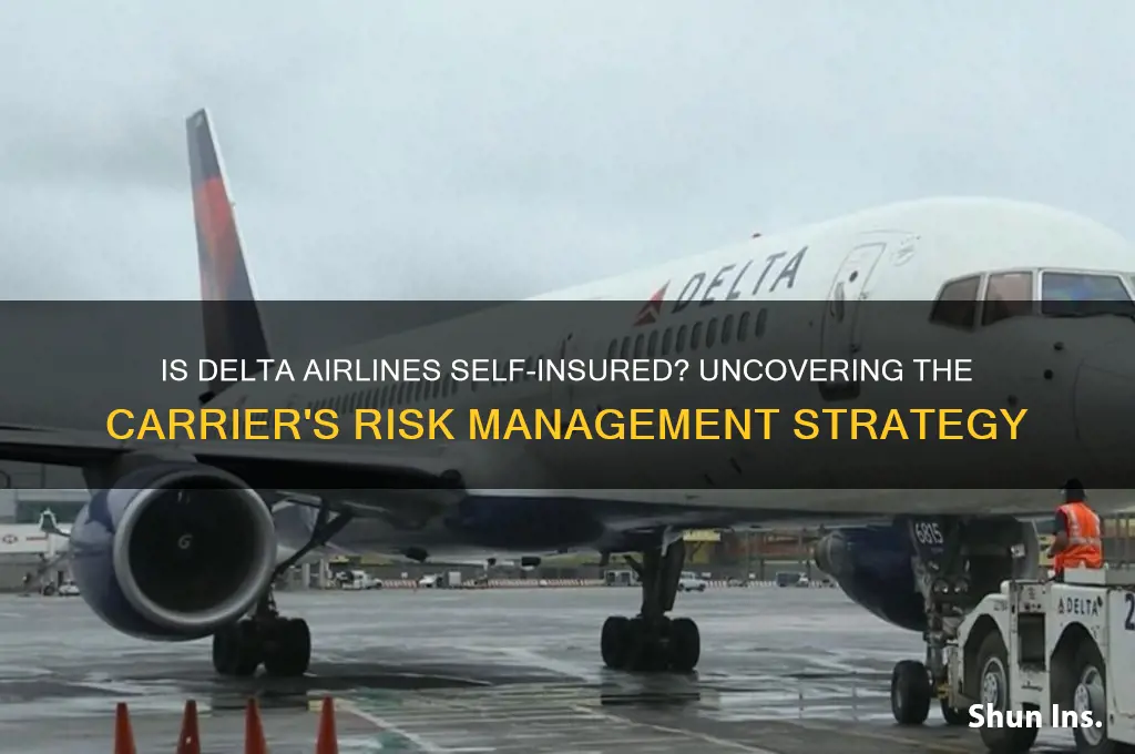 is delta airlines self insured