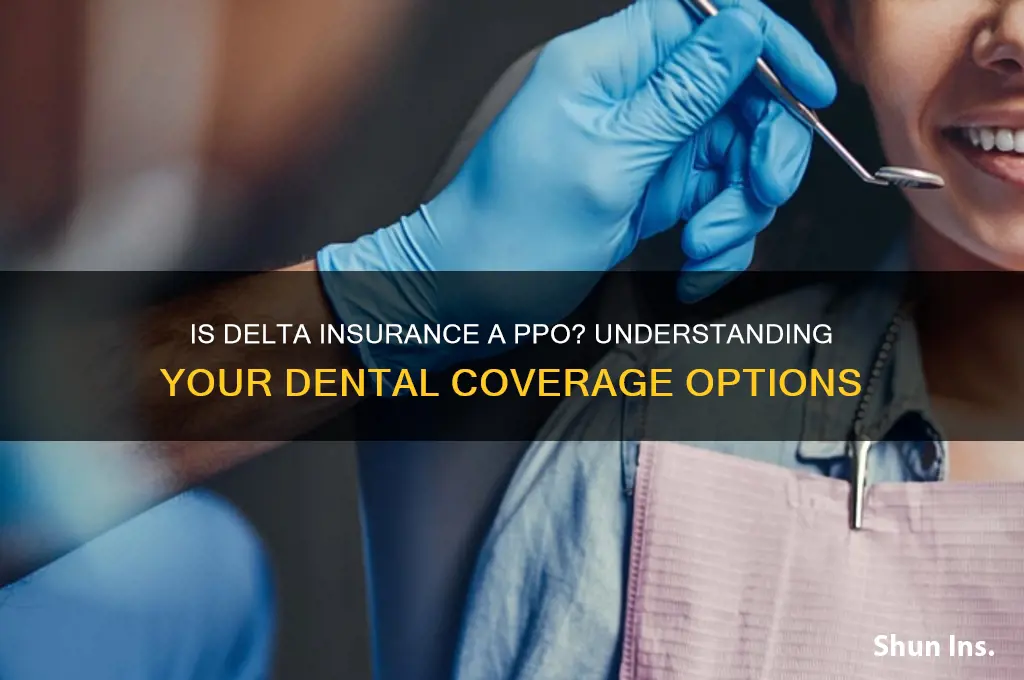 is delta insurance a ppo