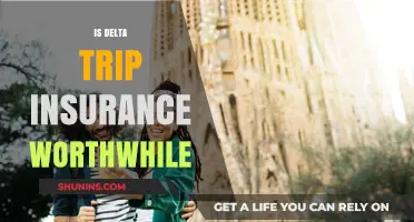 Is Delta Trip Insurance a Smart Travel Investment for You?